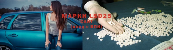прущие грибы Верея