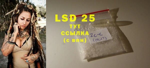 прущие грибы Верея
