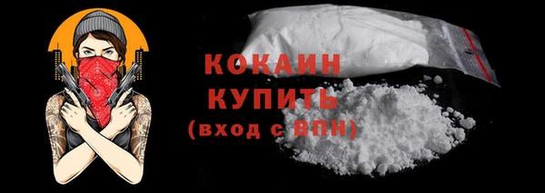 прущие грибы Верея