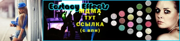 прущие грибы Верея