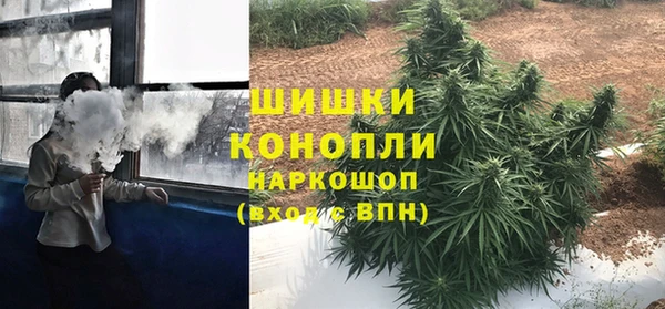 прущие грибы Верея
