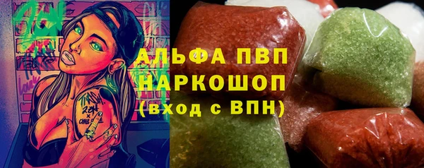 прущие грибы Верея