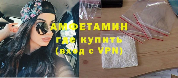 прущие грибы Верея