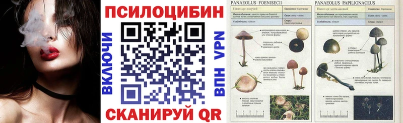 где купить наркотик  Кандалакша  ссылка на мегу ONION  Галлюциногенные грибы ЛСД 